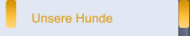 Unsere Hunde