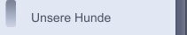 Unsere Hunde